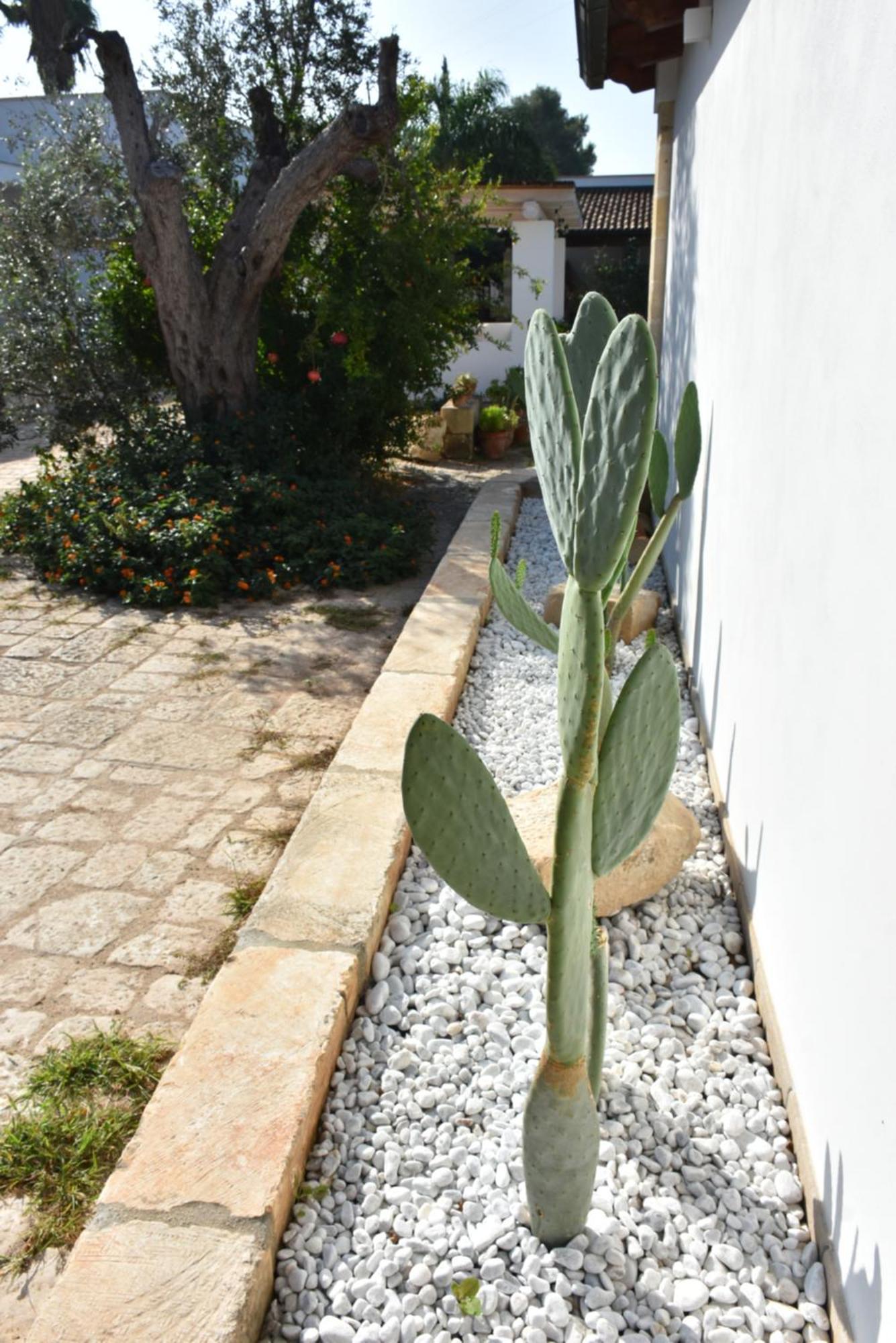 Masseria Tenuta Flora Maria Leverano Exteriör bild